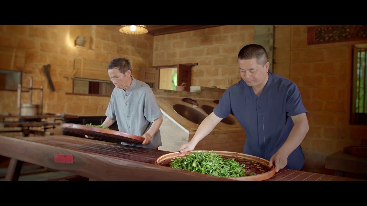 Brand Storytelling Video