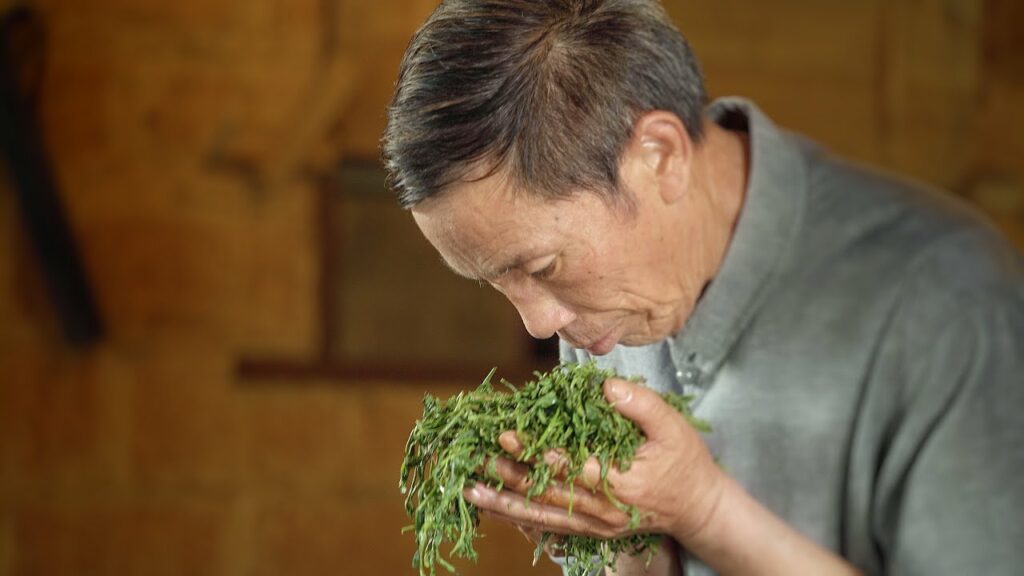 brainlush marketing case study-9 dragons tea-video content marketing to increase brand awareness-tea master making tea holding tea leaves