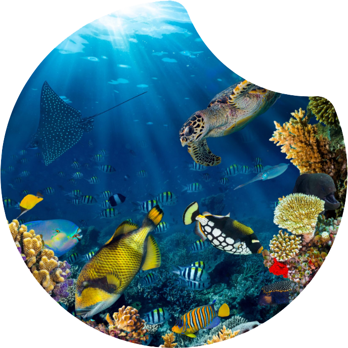 brainlush-strategic marketing services-brand consistency is like good water that keeps on giving