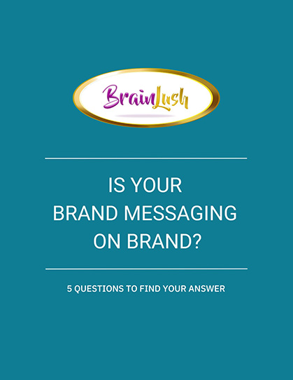 Brainlush-Is-Your-brand-messaging-on-brand-questionaire